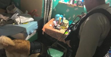 Decomisan pantallas, bocinas y demás artículos en penal de Amatlán | El del Sur