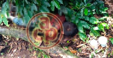 Asesinan a puñaladas a vaquero en un rancho de Tlaltetela