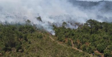 Controlados dos incendios forestales en Coacoatzintla