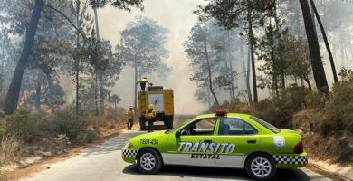 Cierran tramo carretero en Perote debido a incendio forestal