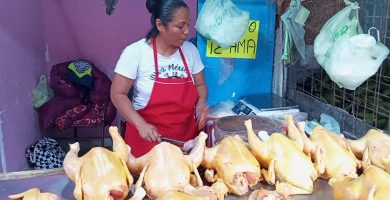 Aumenta a diario el precio del pollo en Veracruz