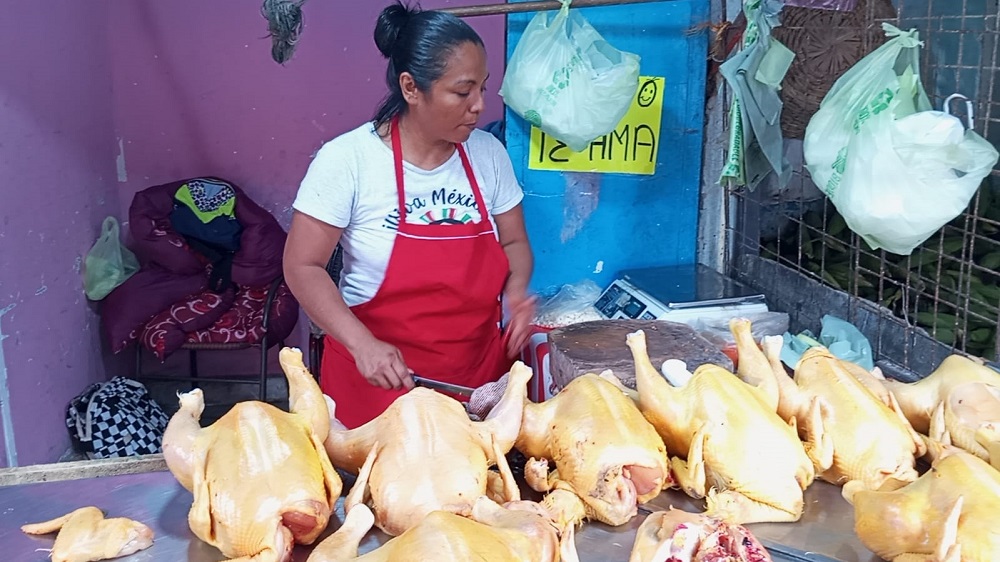 Aumenta a diario el precio del pollo en Veracruz