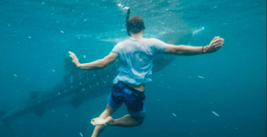 Joven surfista pelea contra enorme tiburón blanco y sobrevive