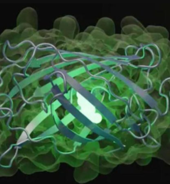 Crean Inteligencia Artificial capaz de inventar proteínas que no existen en la naturaleza